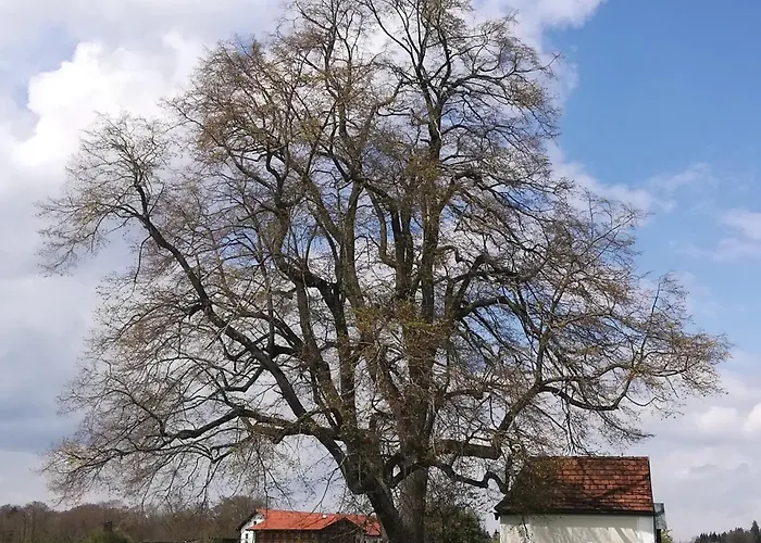 Ferien Im Feuerwehrhaus *